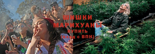дмт Бронницы