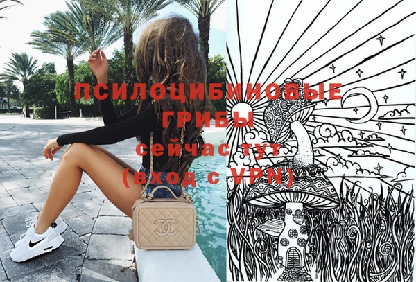 тгк Россошь